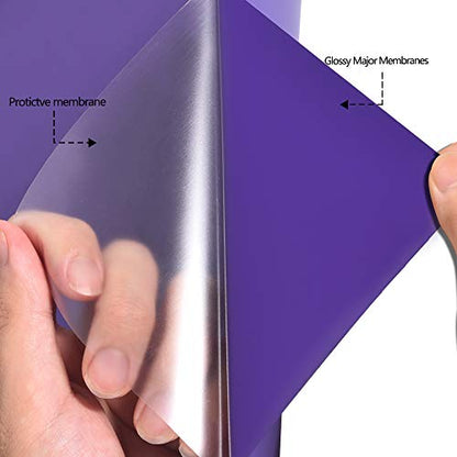RENLITONG Heat Transfer Vinyl (10 Foot)