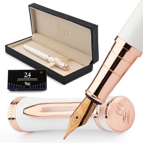 Fountain Pen Set for Writing