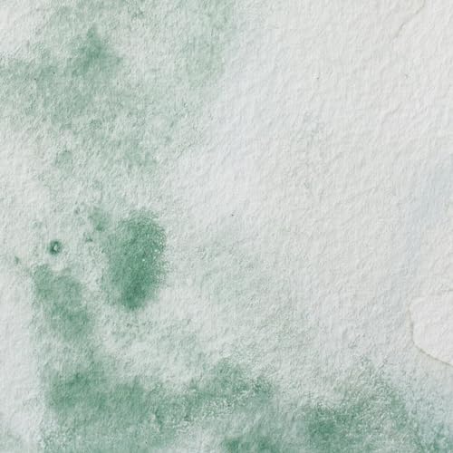 Professional Watercolor
