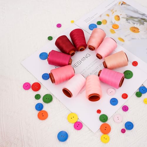 10 Pcs Sewing Thread Set (2400 Foot)