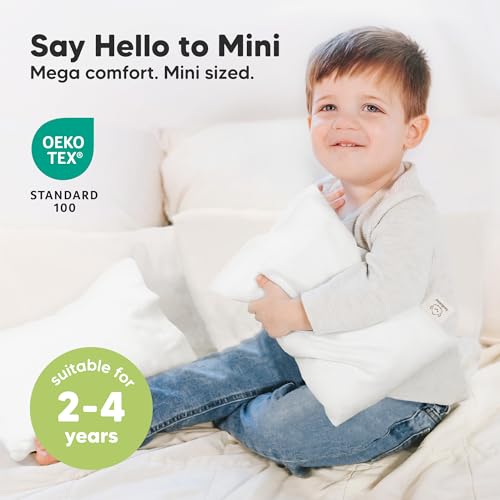 Mini Toddler Pillow with Pillowcase
