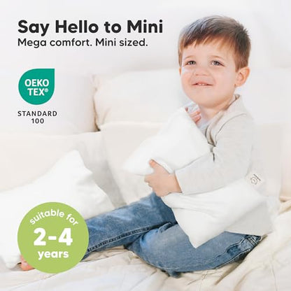 Mini Toddler Pillow with Pillowcase