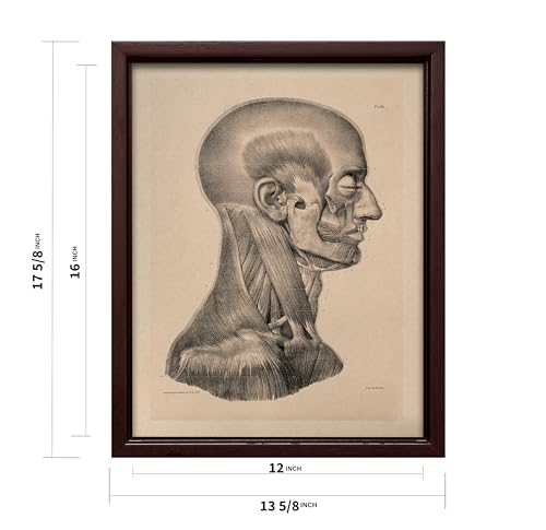 Vintage Science Canvas
