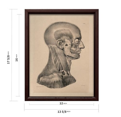 Vintage Science Canvas
