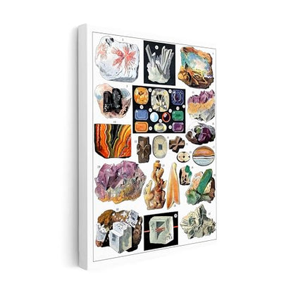 Vintage Geology Canvas