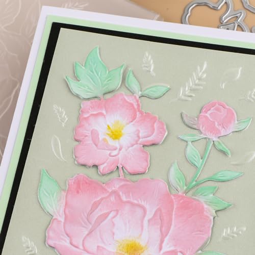3D Embossing Folder and Metal Die Set for Card Making