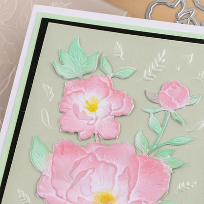 3D Embossing Folder and Metal Die Set for Card Making