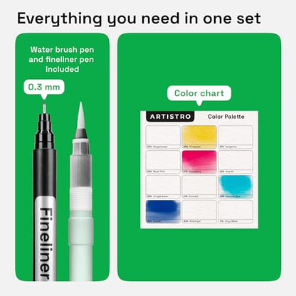 12 Watercolor Markers with Flexible Paint Brush Pens for Pros & Beginners (12 Count)