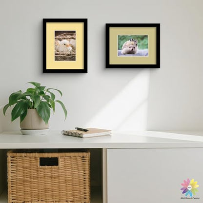 Mat Board Center 25 Pack 8x10 Picture Mat for 5x7 Photo Mixed Color