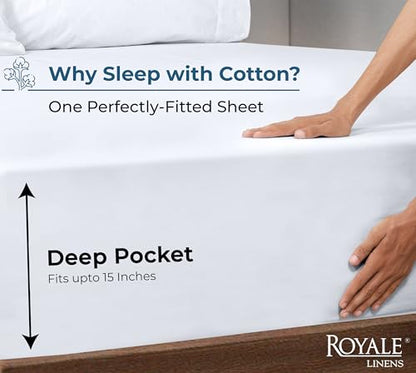 100% Organic Cotton Fitted Sheet