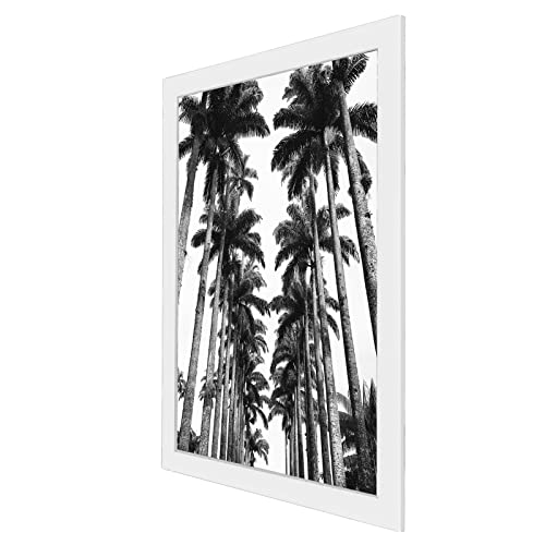 22x28 Poster Frame