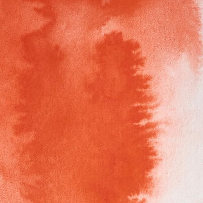 Professional Watercolor