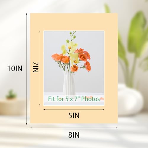 15 Pack 8x10 Picture Mats for 5x7 Photos (15 Count)