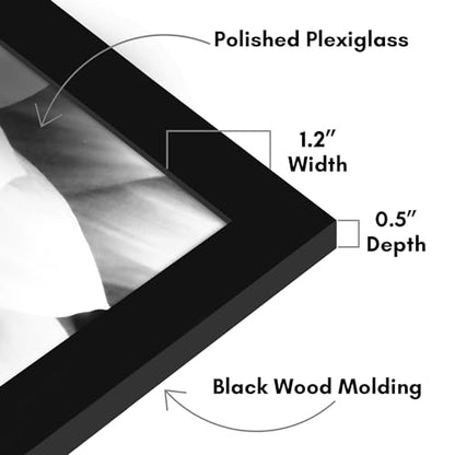 20x27 Poster Frame