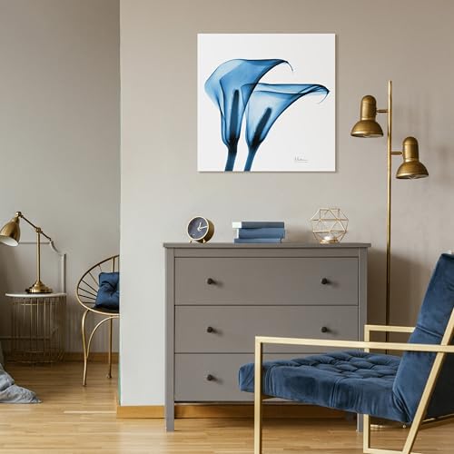 Frameless Free Floating Tempered Glass Panel Graphic Wall Art Ready to Hang (2 Count)