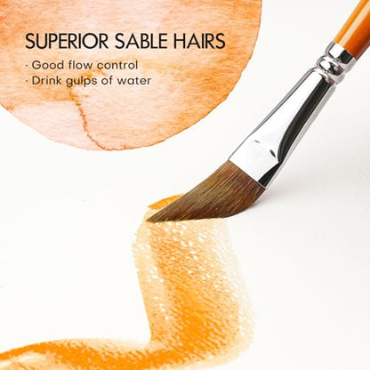 Sable Watercolor Brushes Kolinsky Watercolor Paint Brushes for Artists Professional 6pcs (6 Count)