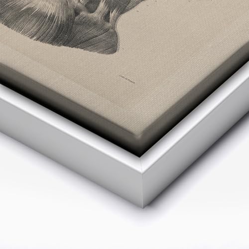Vintage Science Canvas