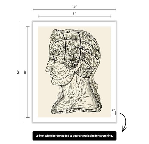A Symbolic Head Phrenology Print 1899