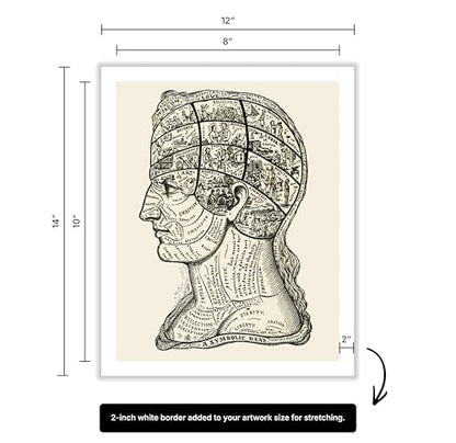 A Symbolic Head Phrenology Print 1899