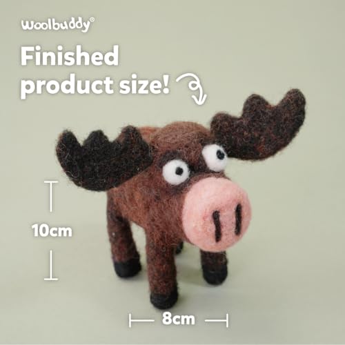 Needle Felting Starter Kit