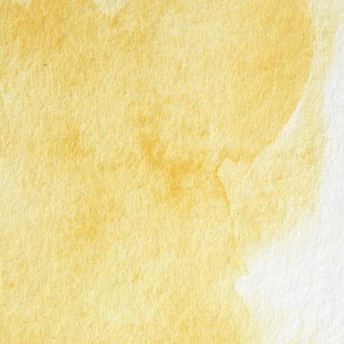 Professional Watercolor