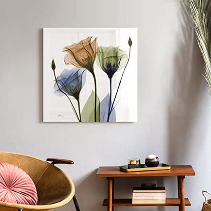 Frameless Free Floating Tempered Glass Panel Graphic Wall Art Ready to Hang