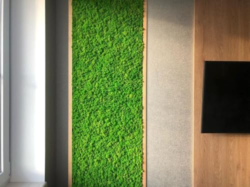 Preserved Reindeer Craft Moss Natural Green DIY Kit Gardenning Art Wall Decor Florist Easter Table Decor Wedding Decor