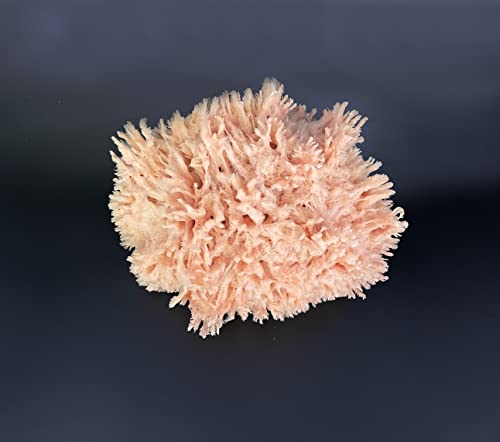 Sea Wool Art Sponge