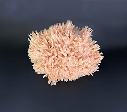 Sea Wool Art Sponge