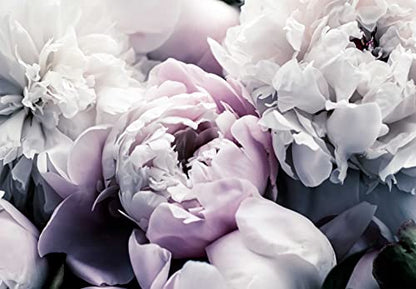 Floral Wallpaper Mural Large Rose Flowers (56.25 Sq Ft)