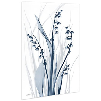 Frameless Free Floating Tempered Glass Panel Graphic Wall Art Ready to Hang