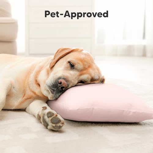 Toddler Pillow with Pillowcase