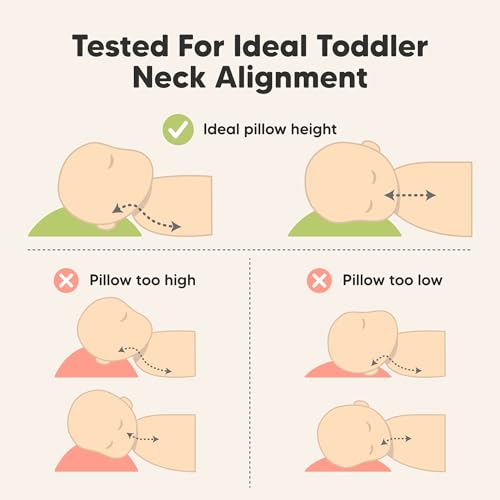 Toddler Pillow with Pillowcase