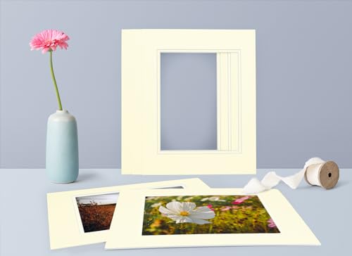 5 Pack Double mat 11x14 for 8x10 Photo Ivory Over Ivory
