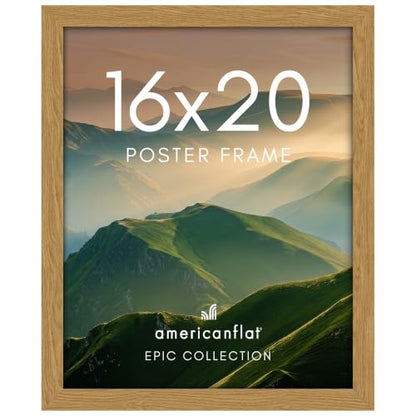 16x20 Poster Frame