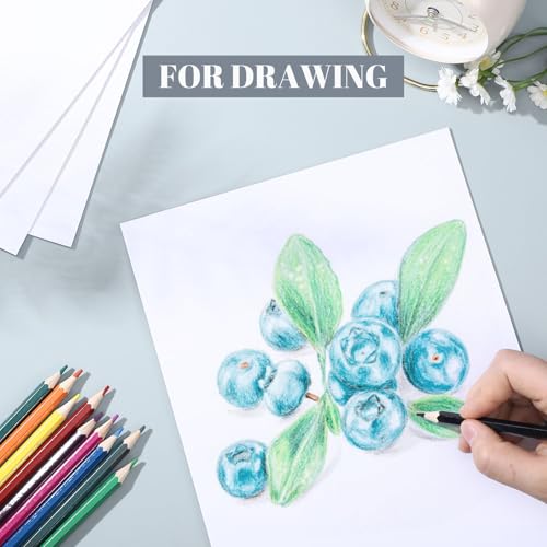 8x10 Backing Boards (15 Count)