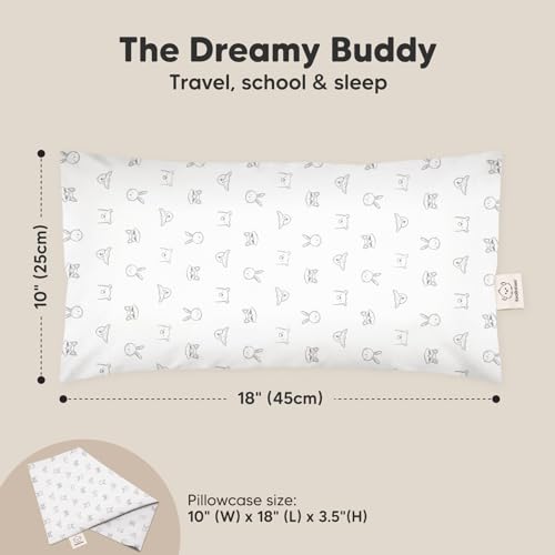 Toddler Pillow with Pillowcase