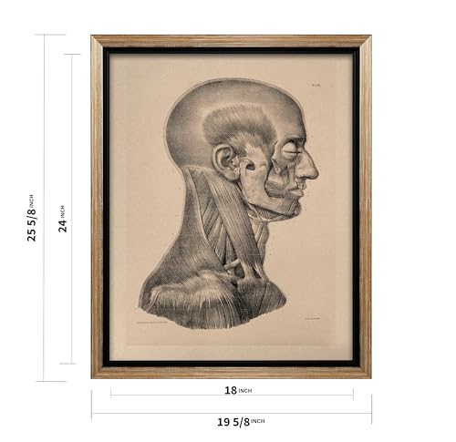 Vintage Science Canvas
