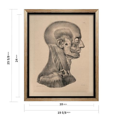Vintage Science Canvas