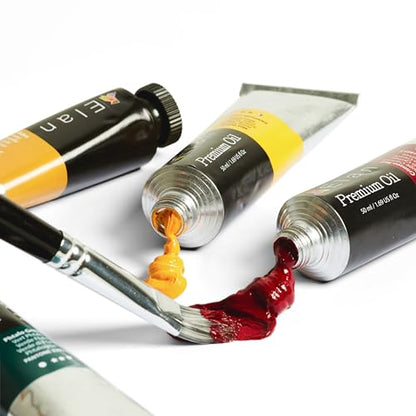 Professional Oil Paint Set (40.6 Fl Oz)