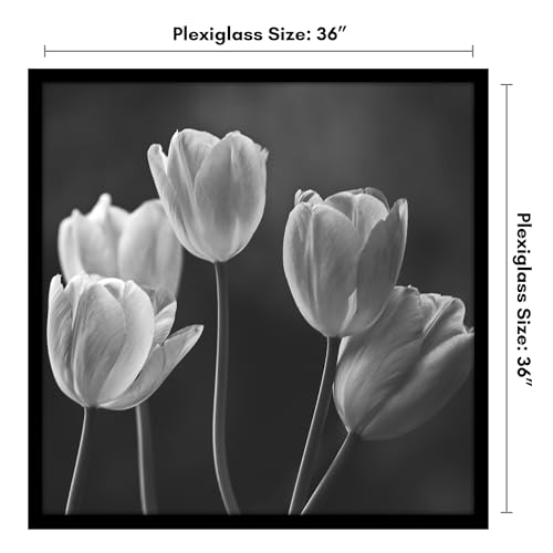 36x36 Poster Frame