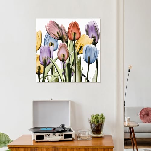Frameless Free Floating Tempered Glass Panel Graphic Wall Art Ready to Hang