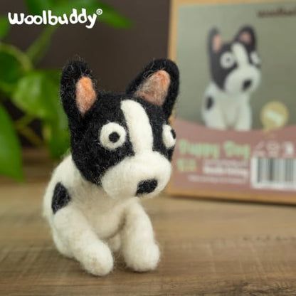 Needle Felting Starter Kit