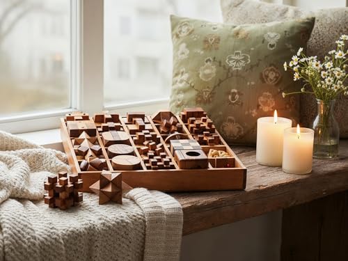 25 in 1 Wooden Brain Teaser Puzzles for Adults and Teens Interlocking 3D Mini Wood Mind Games Hand and Mind Puzzle Teasers Assembly & Disentanglement Set Toys Coffee Table Games Gift
