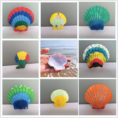 15 Pcs Sea Shells