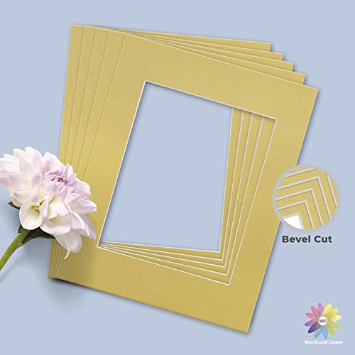 Mat Board Center 10 Pack 11x14 Photo Mats for 8x10 Picture (10 Count)