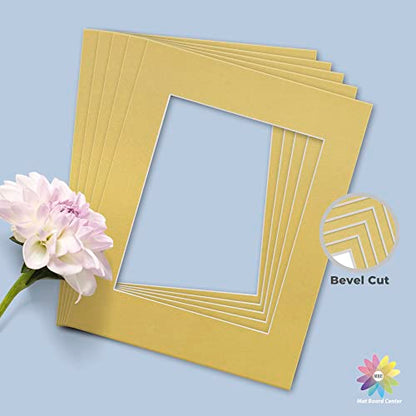 Mat Board Center 10 Pack 11x14 Photo Mats for 8x10 Picture (10 Count)