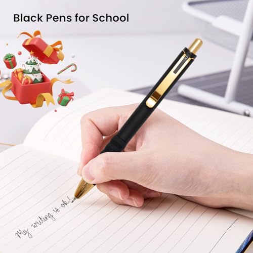 Ballpoint Pens Black Ink Medium Point 1.0mm (12 Count)