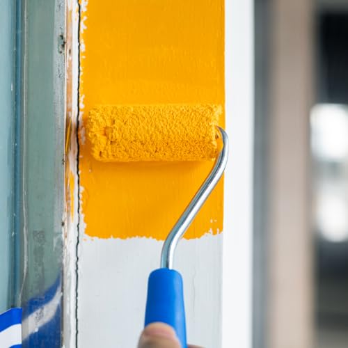 Paint Roller Kit