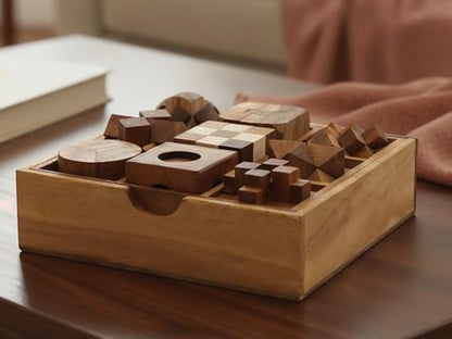 9 in 1 Wooden Brain Teaser Puzzles for Adults Teens Box Set Wood Hard Level 10 Impossible Mind Wood Brain Teaser Games 3D Hand Puzzle Sets for Decoration and Mini Toys (9 Count)
